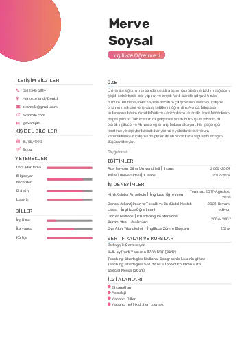 Yabancı Dil Öğretmeni Cv Örnekleri cv indir